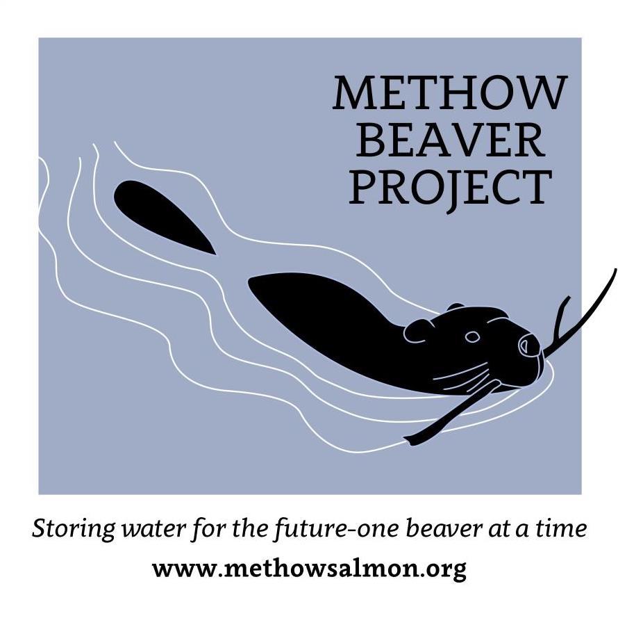 Building a Conservation Ethic: Landowners are critical to the ongoing efforts to protect and restore the health of the Methow watershed. The Methow Restoration Council is working with local landowners to develop restoration and stewardship plans to improveriparian habitat, reduce invasive weeds, and improve stream health.