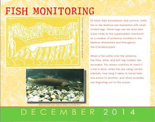 Fish Monitoring with PIT Tags
