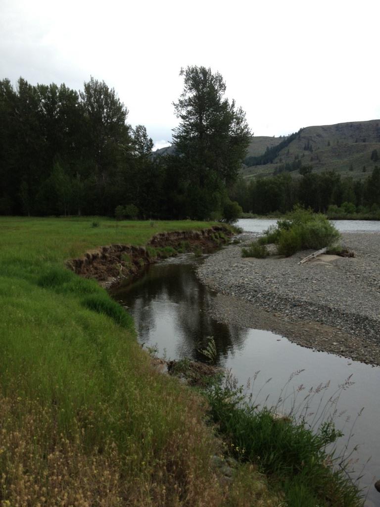 A project site with very little riparian vegetation