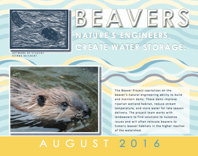 The Methow Beaver Project