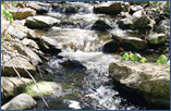 Beaver Creek Weir