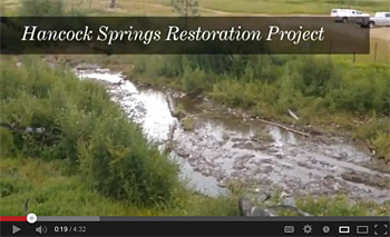 Hancock Springs Restoration Project