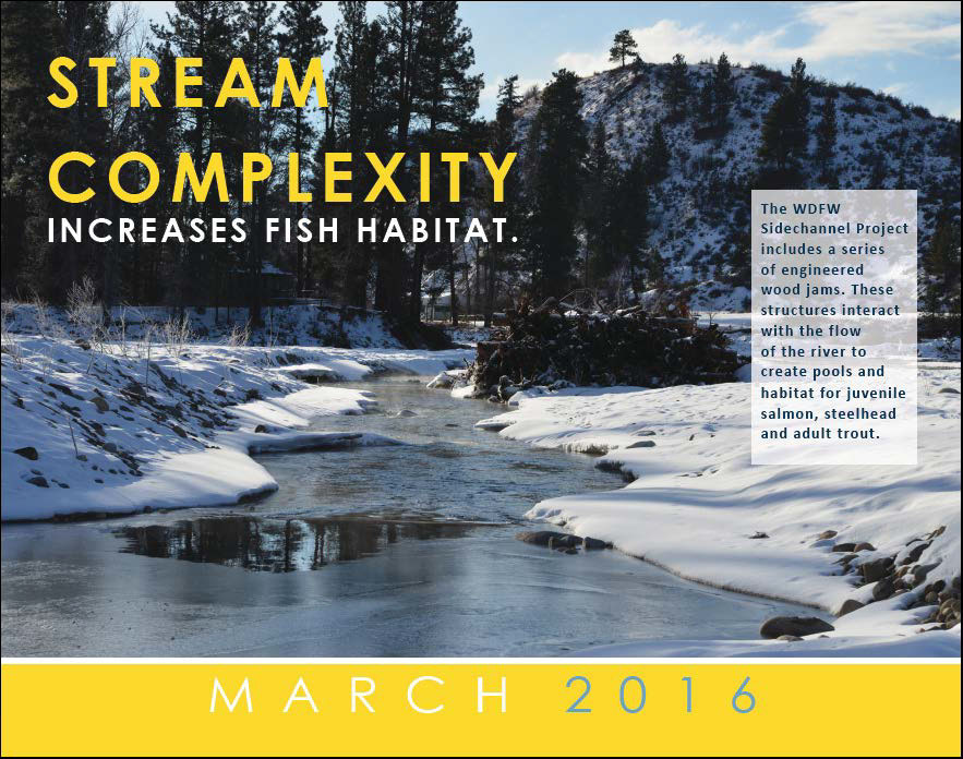Stream Complexity Increases Fish Habitat!