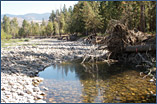 Middle Methow Habitat project